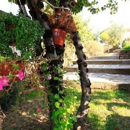 Dona Catalina Εξοχικό σπίτι Santa Maria la Real de Nieva