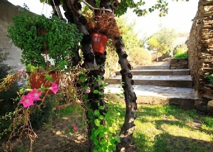 Dona Catalina Gospodarstwo wiejskie Santa Maria la Real de Nieva